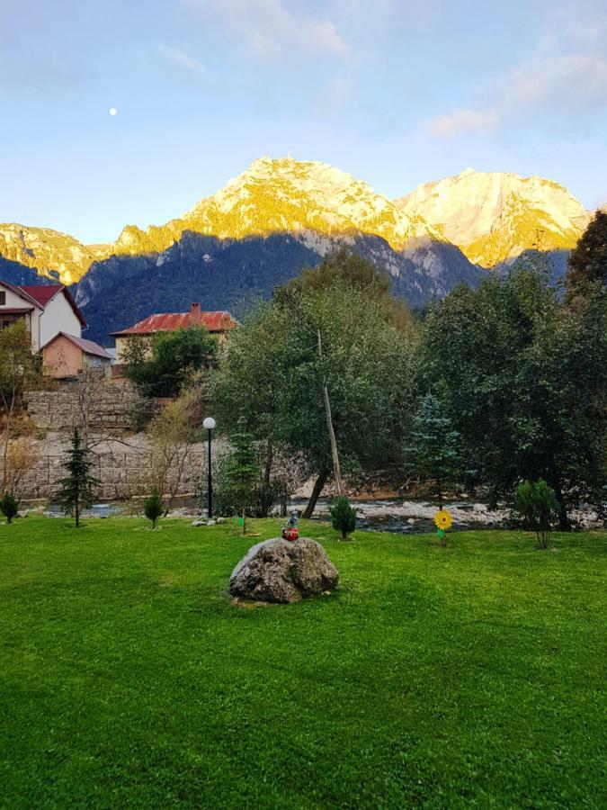 Apartament Golden Rose 1 Buşteni 外观 照片